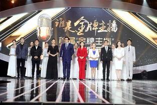 金牌精英团队爆料视频,独家爆料视频深度解析  第2张